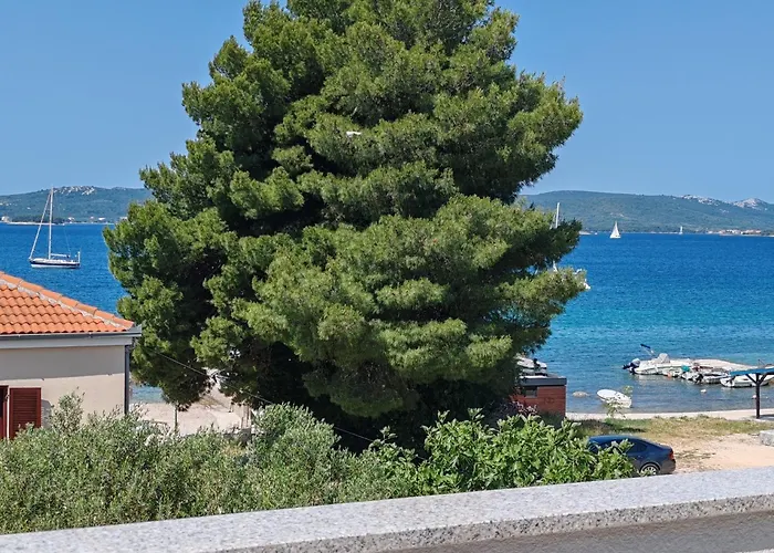 Bosana Xiv Biograd Na Moru