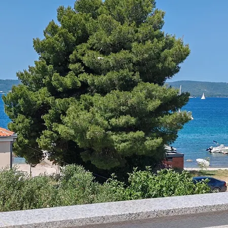 Bosana Xiv Biograd Na Moru